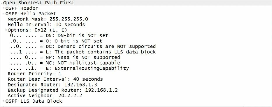 OSPF的Hello数据包