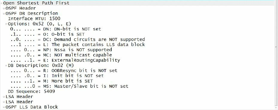 OSPF的数据库描述数据包