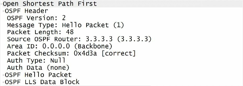 OSPF数据包头部的线上捕获