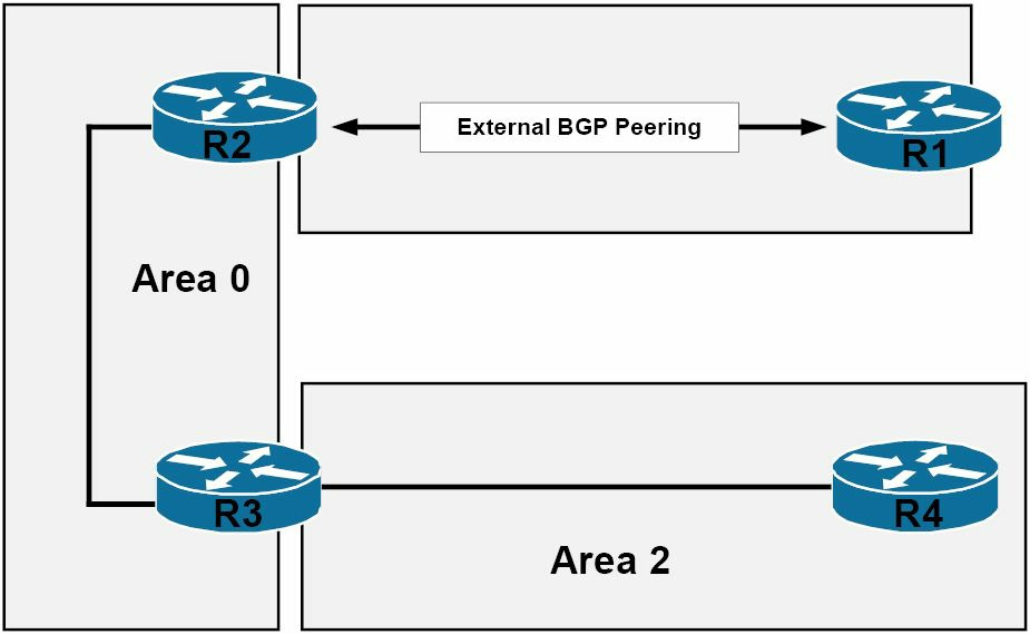 额外的OSPF路由器类型