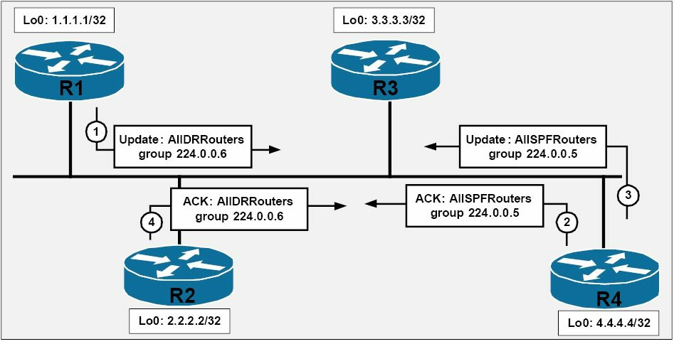 OSPF指定与后备指定通告