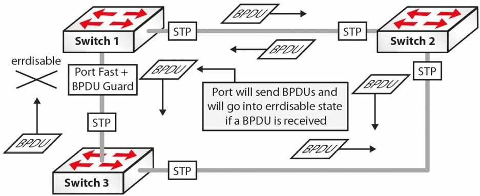 掌握 BPDU 守护（续）